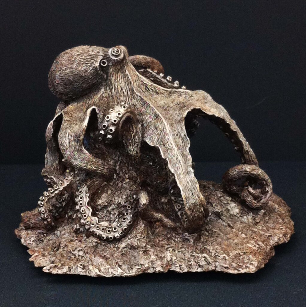 Melanie's octopus