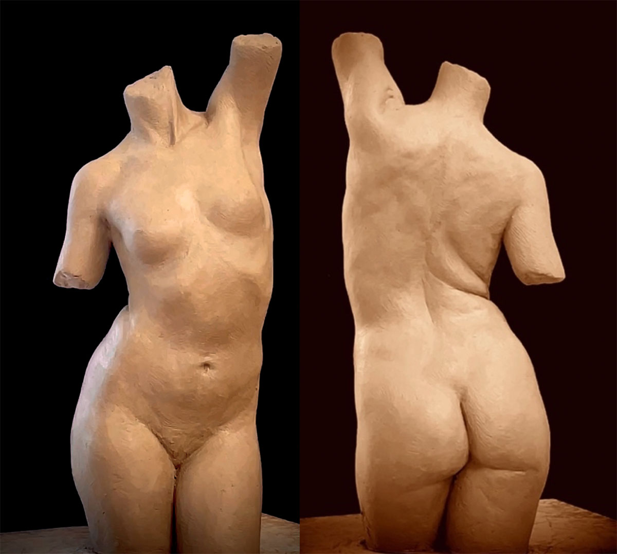 Female Torso PS1200
